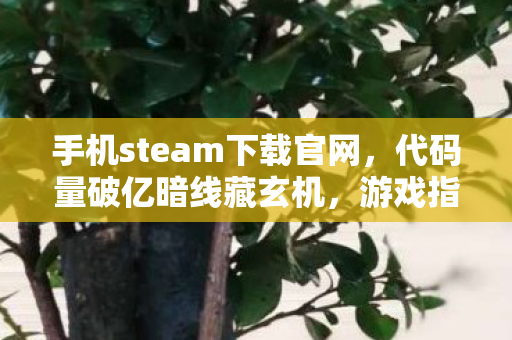 手机steam下载官网，代码量破亿暗线藏玄机，游戏指挥官的头皮发麻现实突围