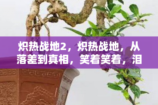 炽热战地2,炽热战地,从落差到真相,笑着笑着,泪水却浸湿了回忆 炽热战地2,炽热战地,从落差到真相,笑着笑着,泪水却浸湿了回忆