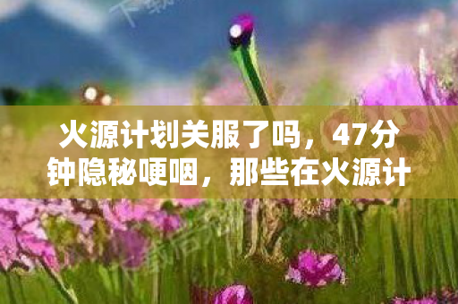 火源计划关服了吗，47分钟隐秘哽咽，那些在火源计划里熬过的夜，你还记得吗？