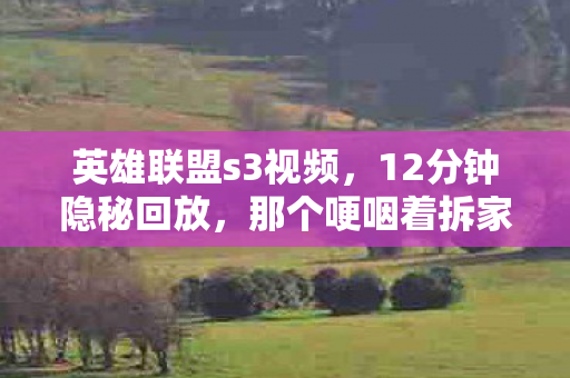 英雄联盟s3视频,12分钟隐秘回放,那个哽咽着拆家的S3少年,如今还在吗? 英雄联盟s3视频,12分钟隐秘回放,那个哽咽着拆家的S3少年,如今还在吗?