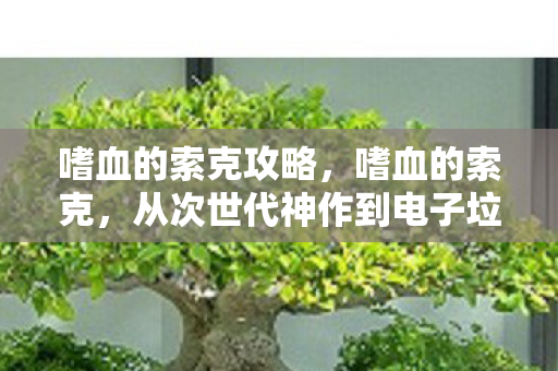 嗜血的索克攻略,嗜血的索克,从次世代神作到电子垃圾的落差真相,笑着笑着就哭了 嗜血的索克攻略,嗜血的索克,从次世代神作到电子垃圾的落差真相,笑着笑着就哭了