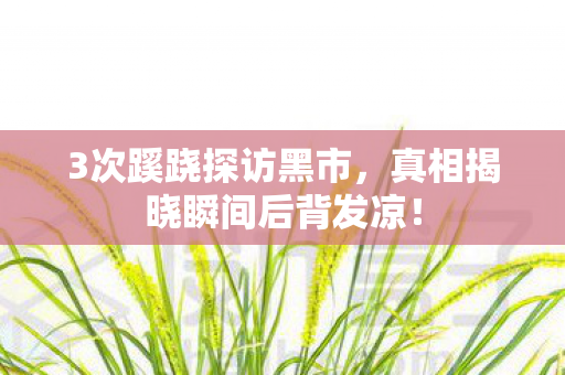 3次蹊跷探访黑市,真相揭晓瞬间后背发凉! 3次蹊跷探访黑市,真相揭晓瞬间后背发凉!