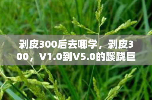 剥皮300后去哪学,剥皮300,V1.0到V5.0的蹊跷巨变,玩家直呼这谁顶得住! 剥皮300后去哪学,剥皮300,V1.0到V5.0的蹊跷巨变,玩家直呼这谁顶得住!