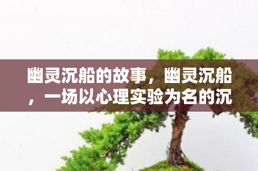 幽灵沉船的故事,幽灵沉船,一场以心理实验为名的沉迷,细思极恐的自我囚禁 幽灵沉船的故事,幽灵沉船,一场以心理实验为名的沉迷,细思极恐的自我囚禁