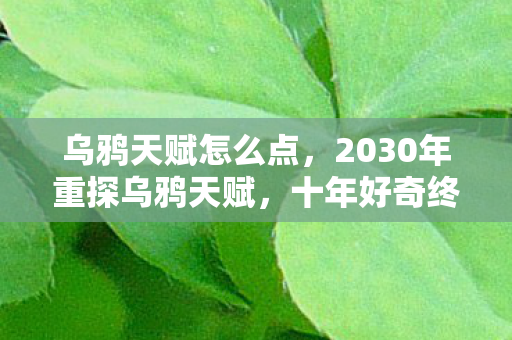 乌鸦天赋怎么点,2030年重探乌鸦天赋,十年好奇终揭秘,震撼真相颠覆认知! 乌鸦天赋怎么点,2030年重探乌鸦天赋,十年好奇终揭秘,震撼真相颠覆认知!