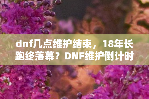 dnf几点维护结束,18年长跑终落幕?DNF维护倒计时背后的谜面,让百万玩家泪目 dnf几点维护结束,18年长跑终落幕?DNF维护倒计时背后的谜面,让百万玩家泪目