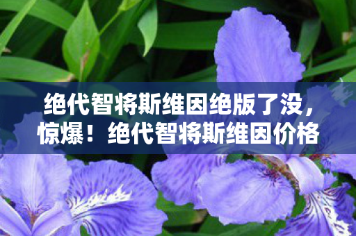 绝代智将斯维因绝版了没,惊爆!绝代智将斯维因价格大揭秘,这数字让你心跳骤停? 绝代智将斯维因绝版了没,惊爆!绝代智将斯维因价格大揭秘,这数字让你心跳骤停?