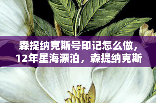 森提纳克斯号印记怎么做,12年星海漂泊,森提纳克斯号印记的诞生与消亡,泪目真相终揭晓 森提纳克斯号印记怎么做,12年星海漂泊,森提纳克斯号印记的诞生与消亡,泪目真相终揭晓
