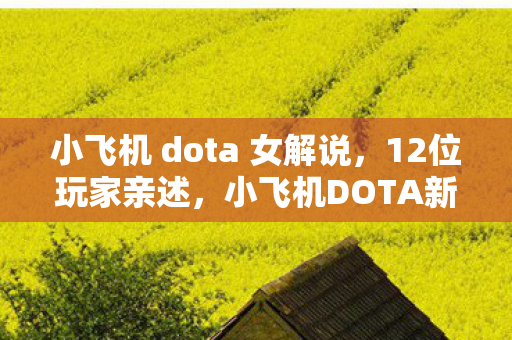 小飞机 dota 女解说,12位玩家亲述,小飞机DOTA新版本疑点重重,大神都绷不住笑场了! 小飞机 dota 女解说,12位玩家亲述,小飞机DOTA新版本疑点重重,大神都绷不住笑场了!