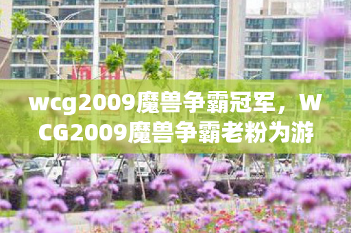 wcg2009魔兽争霸冠军,WCG2009魔兽争霸老粉为游戏狂充80万,卖房离婚竟藏惊天隐情! wcg2009魔兽争霸冠军,WCG2009魔兽争霸老粉为游戏狂充80万,卖房离婚竟藏惊天隐情!