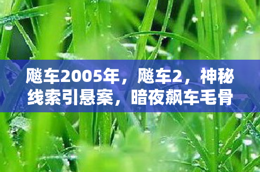 飚车2005年,飚车2,神秘线索引悬案,暗夜飙车毛骨悚然真相待揭 飚车2005年,飚车2,神秘线索引悬案,暗夜飙车毛骨悚然真相待揭