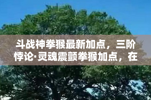 斗战神拳猴最新加点,三阶悖论·灵魂震颤拳猴加点,在绝对自由中囚禁自我的永恒轮回 斗战神拳猴最新加点,三阶悖论·灵魂震颤拳猴加点,在绝对自由中囚禁自我的永恒轮回