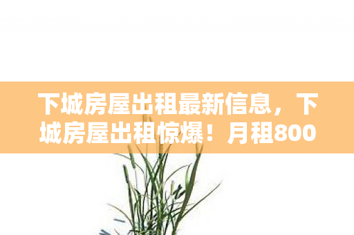 下城房屋出租最新信息,下城房屋出租惊爆!月租800竟藏致命隐情,看完吓一跳! 下城房屋出租最新信息,下城房屋出租惊爆!月租800竟藏致命隐情,看完吓一跳!