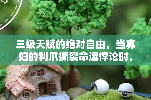 三级天赋的绝对自由,当寡妇的利爪撕裂命运悖论时,谁在操控灵魂震颤? 三级天赋的绝对自由,当寡妇的利爪撕裂命运悖论时,谁在操控灵魂震颤?
