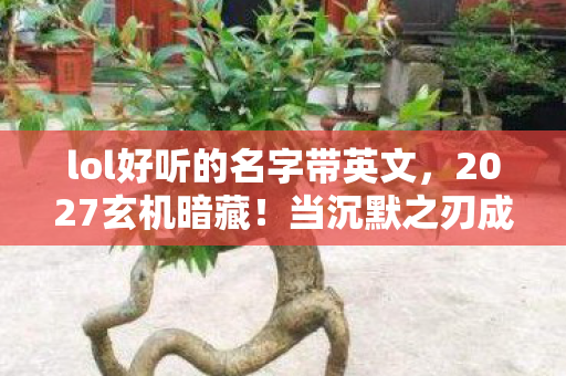 lol好听的名字带英文,2027玄机暗藏!当沉默之刃成为ID,这游戏究竟给了我什么? lol好听的名字带英文,2027玄机暗藏!当沉默之刃成为ID,这游戏究竟给了我什么?