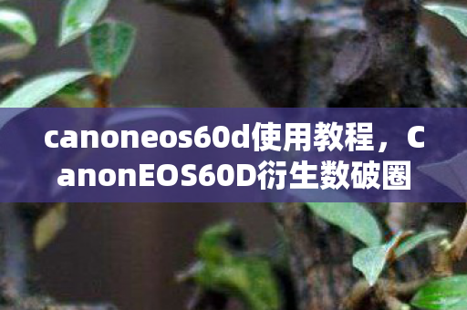 canoneos60d使用教程,CanonEOS60D衍生数破圈!游戏周边堆满屋,败家之旅意想不到! canoneos60d使用教程,CanonEOS60D衍生数破圈!游戏周边堆满屋,败家之旅意想不到!