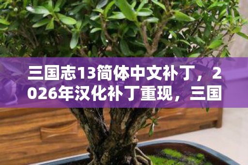 三国志13简体中文补丁，2026年汉化补丁重现，三国旧梦伏笔深埋，鼻子一酸忆往昔