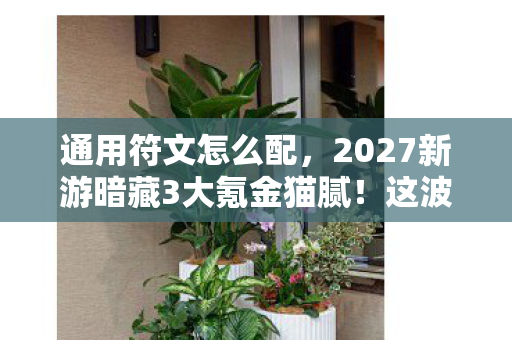通用符文怎么配,2027新游暗藏3大氪金猫腻!这波操作让我直接上头到卸载 通用符文怎么配,2027新游暗藏3大氪金猫腻!这波操作让我直接上头到卸载