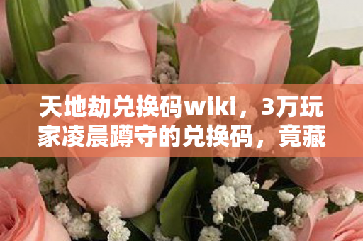 天地劫兑换码wiki，3万玩家凌晨蹲守的兑换码，竟藏着让90%人破防的真相？