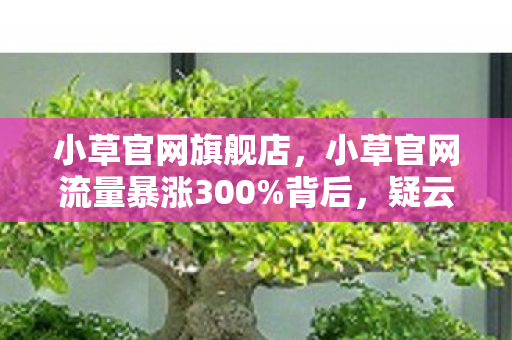 小草官网旗舰店,小草官网流量暴涨300%背后,疑云密布,玩家心寒的资本游戏 小草官网旗舰店,小草官网流量暴涨300%背后,疑云密布,玩家心寒的资本游戏