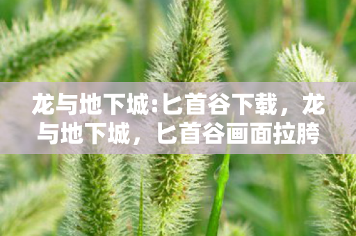 龙与地下城:匕首谷下载,龙与地下城,匕首谷画面拉胯运营摆烂,笑着骂完真相竟是…… 龙与地下城:匕首谷下载,龙与地下城,匕首谷画面拉胯运营摆烂,笑着骂完真相竟是……