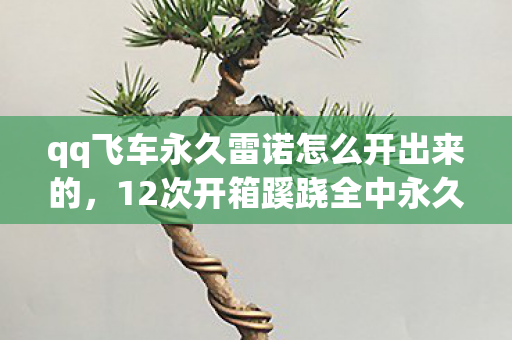qq飞车永久雷诺怎么开出来的,12次开箱蹊跷全中永久雷诺?真相揭晓后背发凉! qq飞车永久雷诺怎么开出来的,12次开箱蹊跷全中永久雷诺?真相揭晓后背发凉!