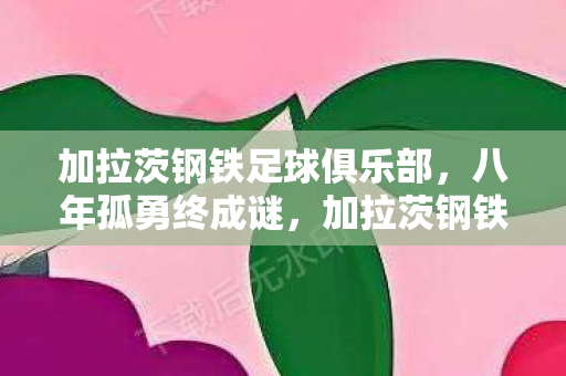 加拉茨钢铁足球俱乐部,八年孤勇终成谜,加拉茨钢铁关服日,泪目无声 加拉茨钢铁足球俱乐部,八年孤勇终成谜,加拉茨钢铁关服日,泪目无声