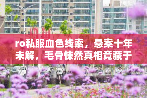 ro私服血色线索,悬案十年未解,毛骨悚然真相竟藏于代码深渊 ro私服血色线索,悬案十年未解,毛骨悚然真相竟藏于代码深渊