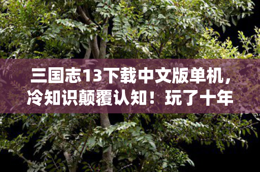 三国志13下载中文版单机，冷知识颠覆认知！玩了十年三国志13pk破解版的我目瞪口呆