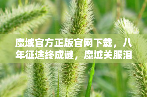 魔域官方正版官网下载,八年征途终成谜,魔域关服泪目时 魔域官方正版官网下载,八年征途终成谜,魔域关服泪目时