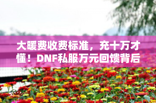 大暖费收费标准，充十万才懂！DNF私服万元回馈背后，我的钱包被割得血淋淋！