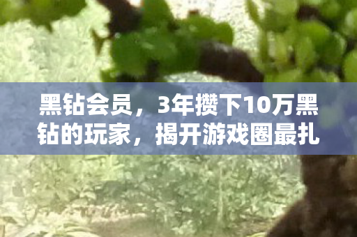 黑钻会员，3年攒下10万黑钻的玩家，揭开游戏圈最扎心的身份真相