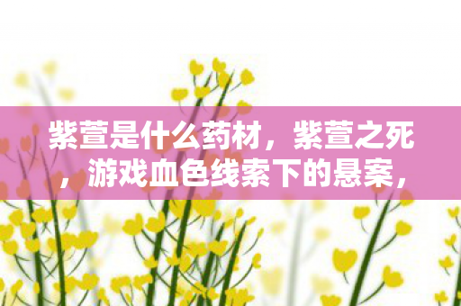 紫萱是什么药材，紫萱之死，游戏血色线索下的悬案，真相令人毛骨悚然