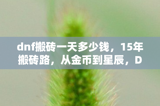 dnf搬砖一天多少钱，15年搬砖路，从金币到星辰，DNF玩家的泪目征程