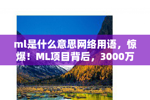 ml是什么意思网络用语，惊爆！ML项目背后，3000万隐情曝光，真相让人吓一跳！