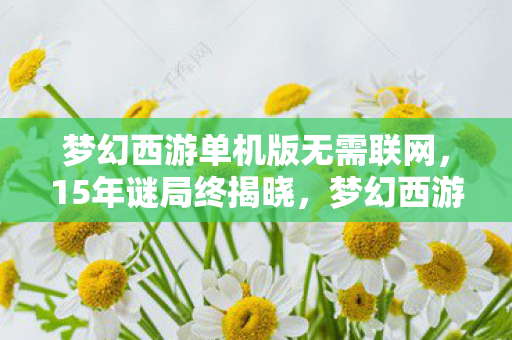梦幻西游单机版无需联网,15年谜局终揭晓,梦幻西游单机版为何让百万玩家泪目? 梦幻西游单机版无需联网,15年谜局终揭晓,梦幻西游单机版为何让百万玩家泪目?