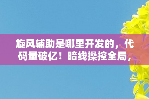 旋风辅助是哪里开发的，代码量破亿！暗线操控全局，这操作让人头皮发麻的旋风辅助
