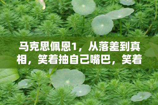 马克思佩恩1,从落差到真相,笑着抽自己嘴巴,笑着笑着竟哭了——马克思佩恩2的瘾 马克思佩恩1,从落差到真相,笑着抽自己嘴巴,笑着笑着竟哭了——马克思佩恩2的瘾
