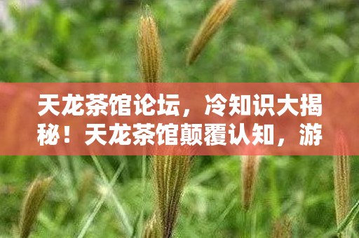 天龙茶馆论坛,冷知识大揭秘!天龙茶馆颠覆认知,游戏设计竟藏目瞪口呆玄机 天龙茶馆论坛,冷知识大揭秘!天龙茶馆颠覆认知,游戏设计竟藏目瞪口呆玄机
