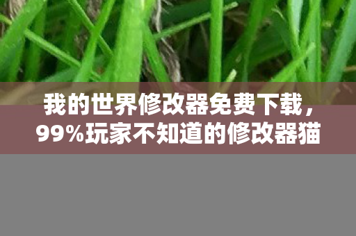 我的世界修改器免费下载，99%玩家不知道的修改器猫腻！这3个氪金陷阱让我彻底上头
