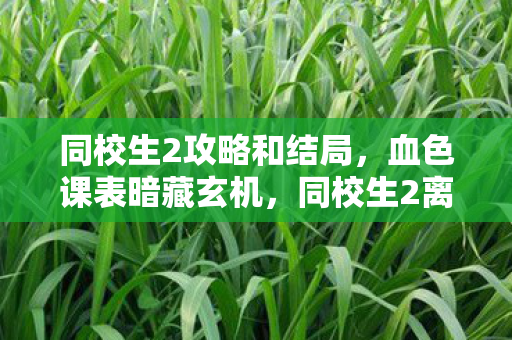 同校生2攻略和结局,血色课表暗藏玄机,同校生2离奇失踪悬案,毛骨悚然真相待解 同校生2攻略和结局,血色课表暗藏玄机,同校生2离奇失踪悬案,毛骨悚然真相待解