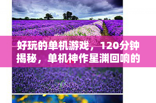 好玩的单机游戏，120分钟揭秘，单机神作星渊回响的诞生与消亡，泪目真相