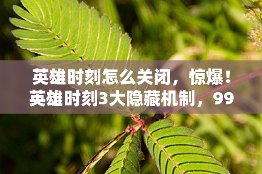 英雄时刻怎么关闭,惊爆!英雄时刻3大隐藏机制,99%玩家不知的200%暴击率真相 英雄时刻怎么关闭,惊爆!英雄时刻3大隐藏机制,99%玩家不知的200%暴击率真相