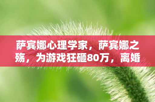 萨宾娜心理学家,萨宾娜之殇,为游戏狂砸80万,离婚协议藏惊天隐情! 萨宾娜心理学家,萨宾娜之殇,为游戏狂砸80万,离婚协议藏惊天隐情!