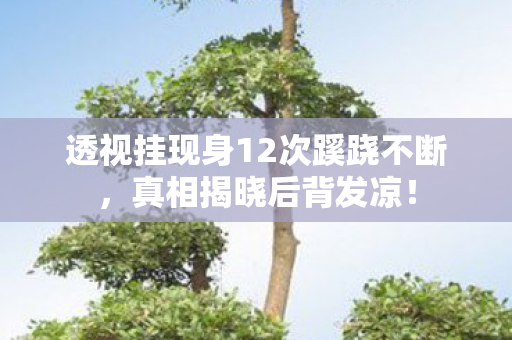 透视挂现身12次蹊跷不断,真相揭晓后背发凉! 透视挂现身12次蹊跷不断,真相揭晓后背发凉!