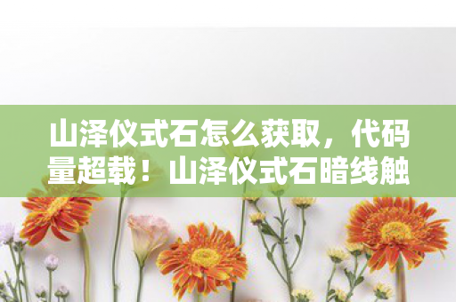 山泽仪式石怎么获取,代码量超载!山泽仪式石暗线触发,当NPC开始头皮发麻地教我生存法则 山泽仪式石怎么获取,代码量超载!山泽仪式石暗线触发,当NPC开始头皮发麻地教我生存法则