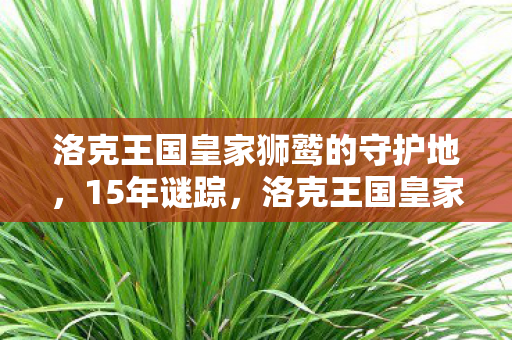 洛克王国皇家狮鹫的守护地,15年谜踪,洛克王国皇家狮鹫的消逝与重生,泪目真相终揭晓 洛克王国皇家狮鹫的守护地,15年谜踪,洛克王国皇家狮鹫的消逝与重生,泪目真相终揭晓