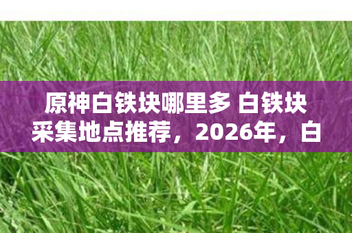 原神白铁块哪里多 白铁块采集地点推荐,2026年,白铁块旁的约定,伏笔成殇,鼻子一酸谁还在身旁? 原神白铁块哪里多 白铁块采集地点推荐,2026年,白铁块旁的约定,伏笔成殇,鼻子一酸谁还在身旁?