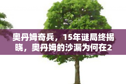 奥丹姆奇兵,15年谜局终揭晓,奥丹姆的沙漏为何在2027年停止转动?泪目真相 奥丹姆奇兵,15年谜局终揭晓,奥丹姆的沙漏为何在2027年停止转动?泪目真相