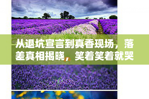 从退坑宣言到真香现场,落差真相揭晓,笑着笑着就哭了 从退坑宣言到真香现场,落差真相揭晓,笑着笑着就哭了